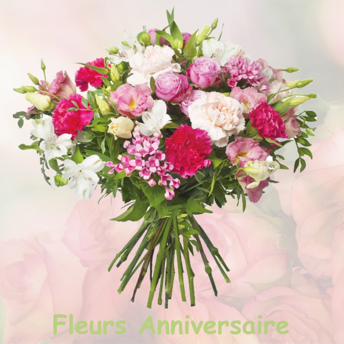 fleurs anniversaire VERNOIS-SUR-MANCE
